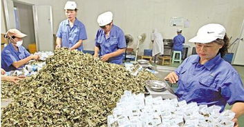 中药饮片行业洗牌加速 六家企业退出市场，巨头强势入局