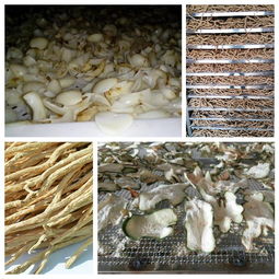 中药饮片烘干机自动化控制技术及其应用