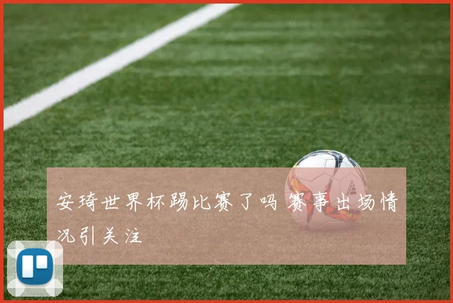 安琦世界杯踢比赛了吗 赛事出场情况引关注