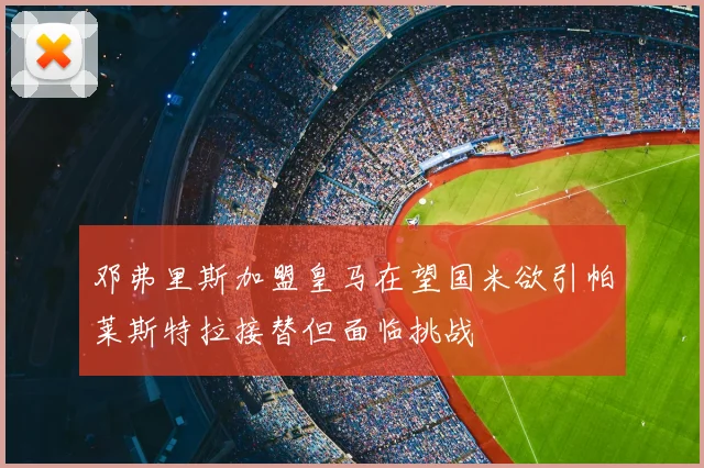 邓弗里斯加盟皇马在望国米欲引帕莱斯特拉接替但面临挑战