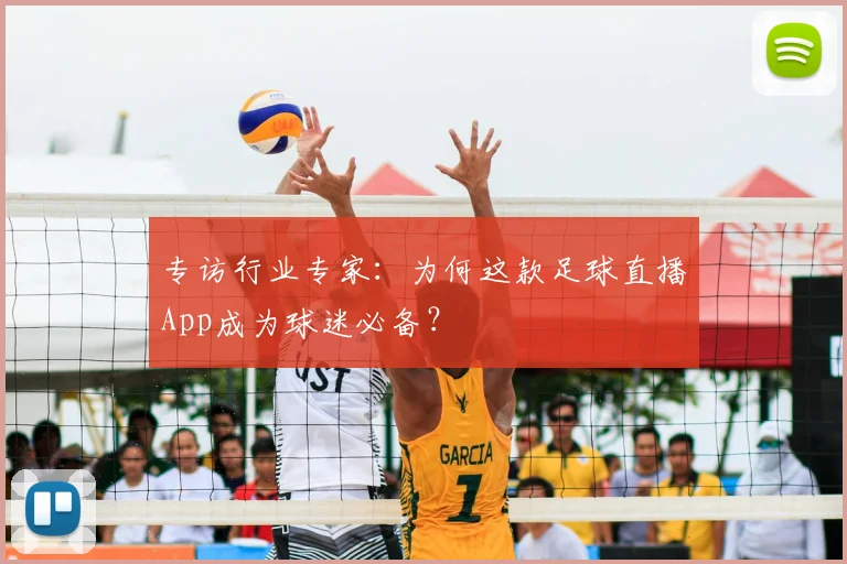 专访行业专家：为何这款足球直播App成为球迷必备？