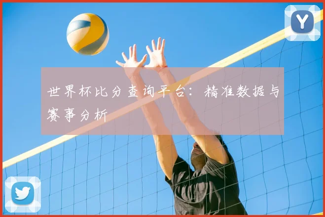 世界杯比分查询平台:精准数据与赛事分析