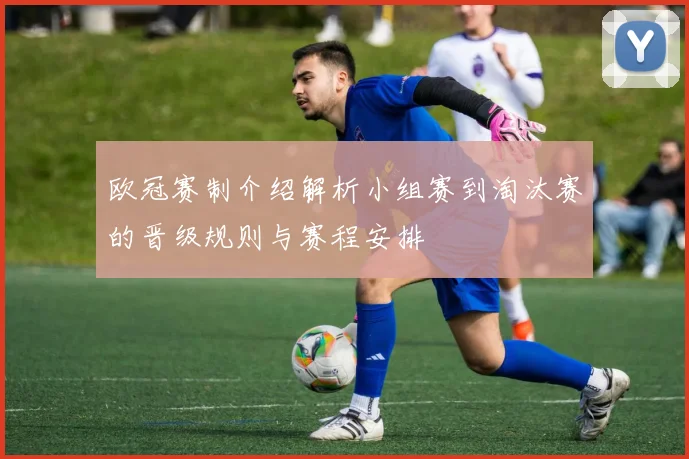 欧冠赛制介绍解析小组赛到淘汰赛的晋级规则与赛程安排