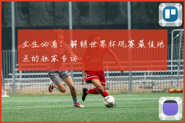 女生必看:解锁世界杯观赛最佳地点的独家专访