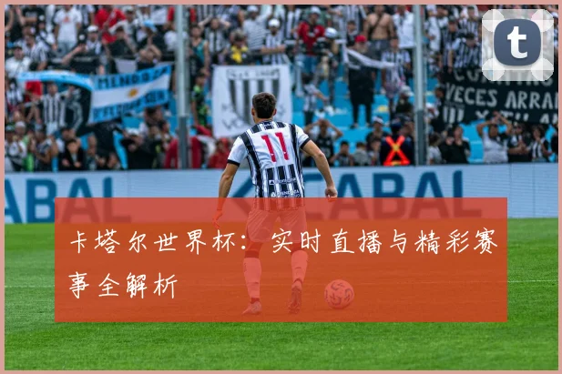 卡塔尔世界杯:实时直播与精彩赛事全解析