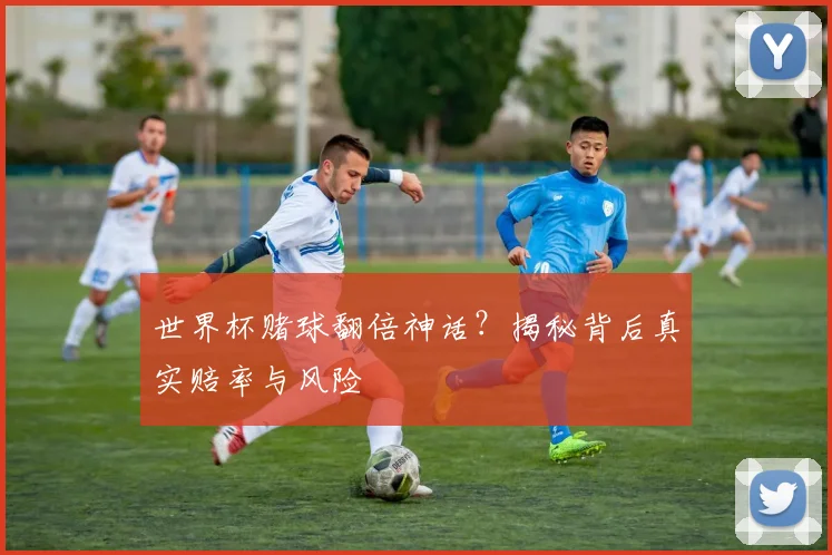 世界杯赌球翻倍神话？揭秘背后真实赔率与风险