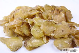 新荷花品牌中药饮片 助力医药精英成功转型的可靠伙伴