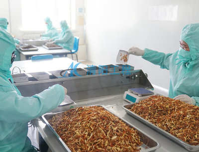 建设GMP中药饮片车间的成本分析与清阳工程的重要性