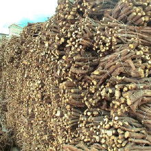 甘草中药饮片 价格、批发与厂家全解析